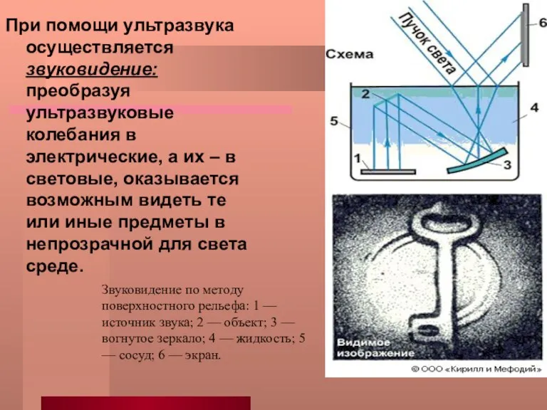 При помощи ультразвука осуществляется звуковидение: преобразуя ультразвуковые колебания в электрические, а их