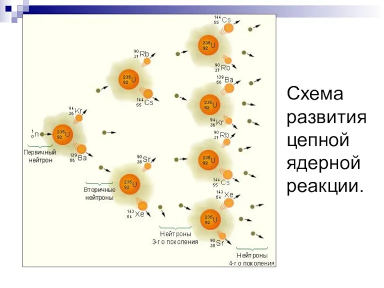 Схема развития цепной ядерной реакции.