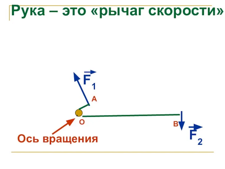 Ось вращения F1 F2 Рука – это «рычаг скорости» О В А