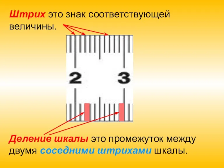 Штрих это знак соответствующей величины. Деление шкалы это промежуток между двумя соседними штрихами шкалы.
