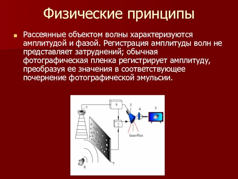 Физические принципы Рассеянные объектом волны характеризуются амплитудой и фазой. Регистрация амплитуды волн