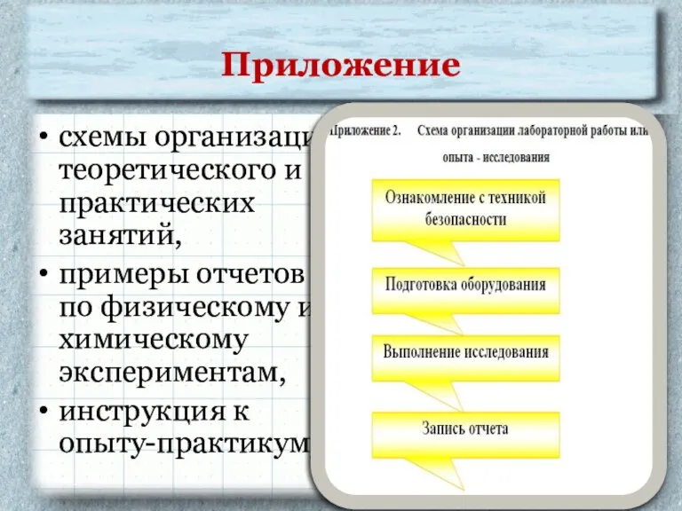 Приложение схемы организации теоретического и практических занятий, примеры отчетов по физическому и