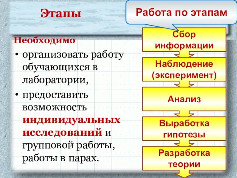 Этапы Необходимо организовать работу обучающихся в лаборатории, предоставить возможность индивидуальных исследований и