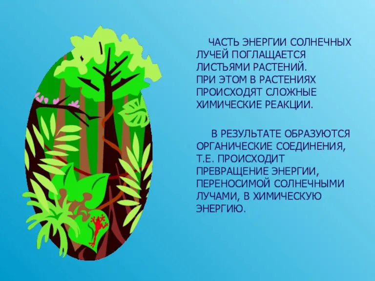 ЧАСТЬ ЭНЕРГИИ СОЛНЕЧНЫХ ЛУЧЕЙ ПОГЛАЩАЕТСЯ ЛИСТЬЯМИ РАСТЕНИЙ. ПРИ ЭТОМ В РАСТЕНИЯХ ПРОИСХОДЯТ