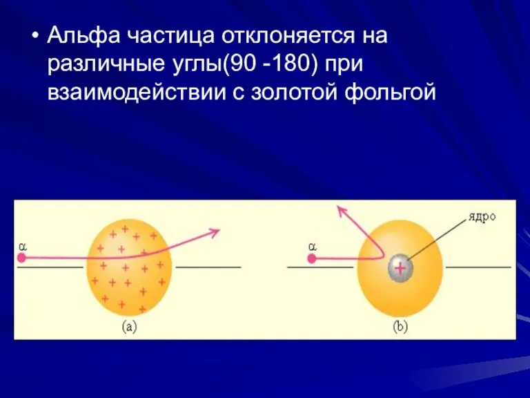 Альфа частица отклоняется на различные углы(90 -180) при взаимодействии с золотой фольгой