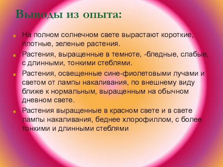 Выводы из опыта: На полном солнечном свете вырастают короткие, плотные, зеленые растения.