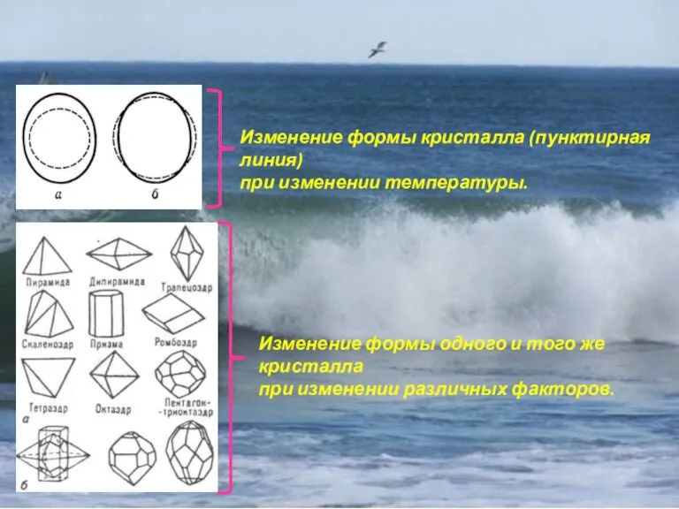 Анизотропия кристаллов Изменение формы кристалла (пунктирная линия) при изменении температуры. Изменение формы