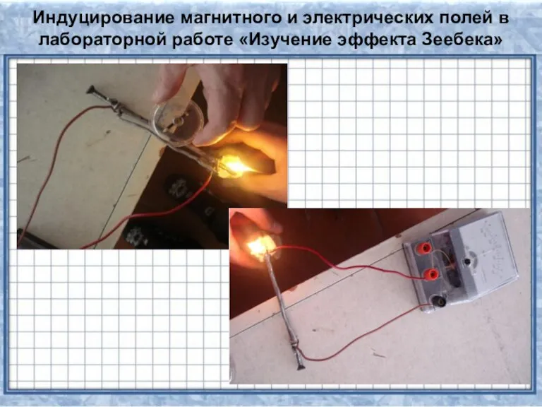 Индуцирование магнитного и электрических полей в лабораторной работе «Изучение эффекта Зеебека»