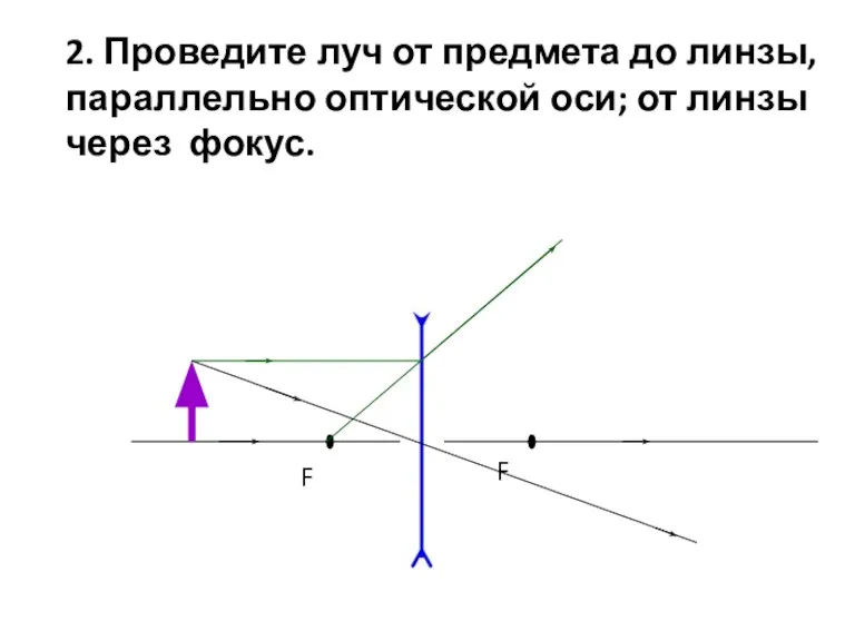 F F 2. Проведите луч от предмета до линзы, параллельно оптической оси; от линзы через фокус.