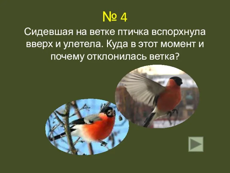 № 4 Сидевшая на ветке птичка вспорхнула вверх и улетела. Куда в