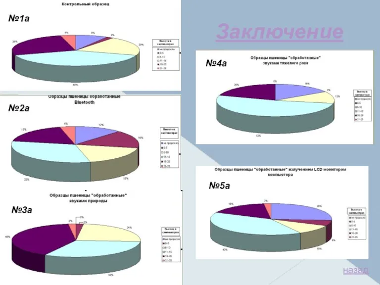 Заключение назад №1а №2а №3а №4а №5а