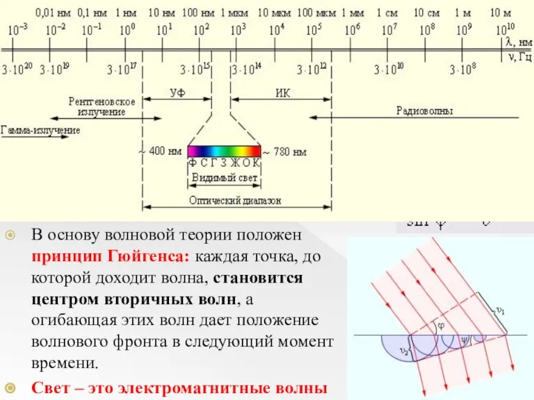 Волновые свойства света В основу волновой теории положен принцип Гюйгенса: каждая точка,