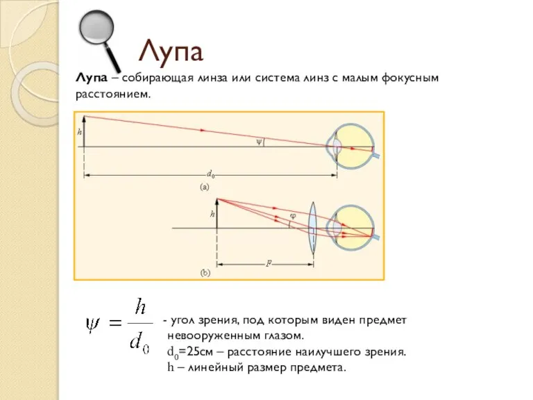 Лупа Лупа – собирающая линза или система линз с малым фокусным расстоянием.