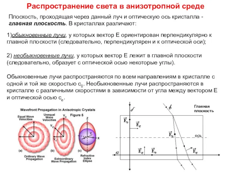 Плоскость, проходящая через данный луч и оптическую ось кристалла - главная плоскость.