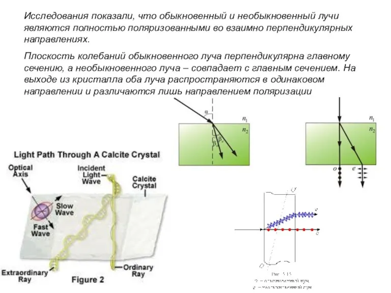 Исследования показали, что обыкновенный и необыкновенный лучи являются полностью поляризованными во взаимно