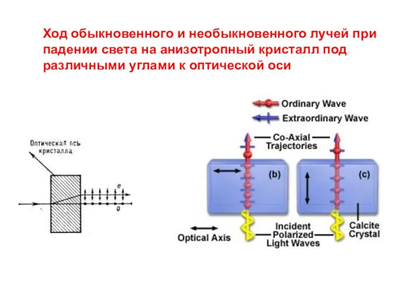 Ход обыкновенного и необыкновенного лучей при падении света на анизотропный кристалл под