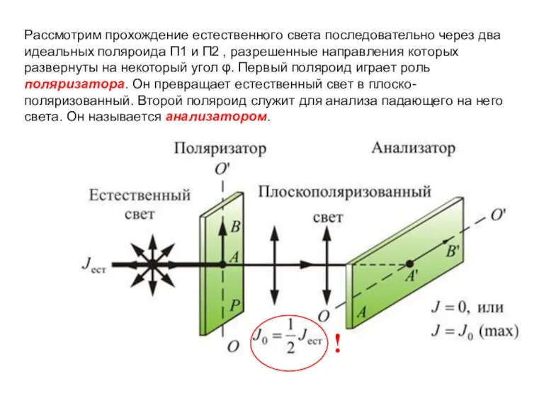 Рассмотрим прохождение естественного света последовательно через два идеальных поляроида П1 и П2