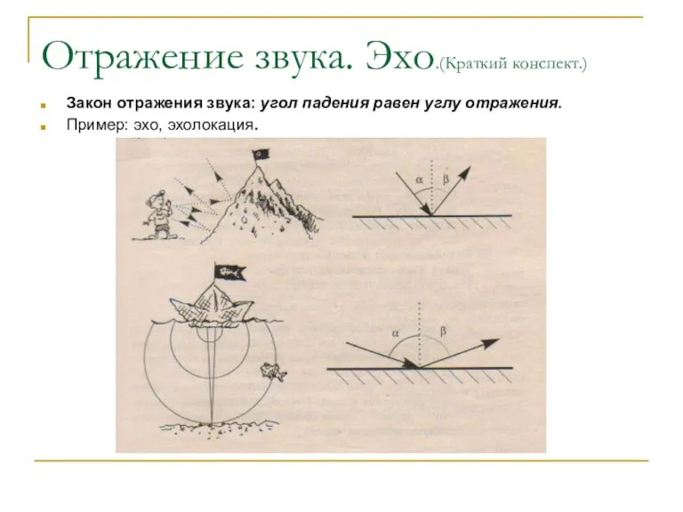 Отражение звука. Эхо.(Краткий конспект.) Закон отражения звука: угол падения равен углу отражения. Пример: эхо, эхолокация.