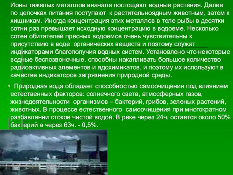 Ионы тяжелых металлов вначале поглощают водные растения. Далее по цепочках питания поступают