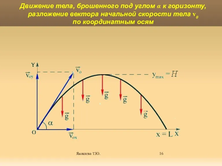 Яковлева Т.Ю. Движение тела, брошенного под углом α к горизонту, разложение вектора