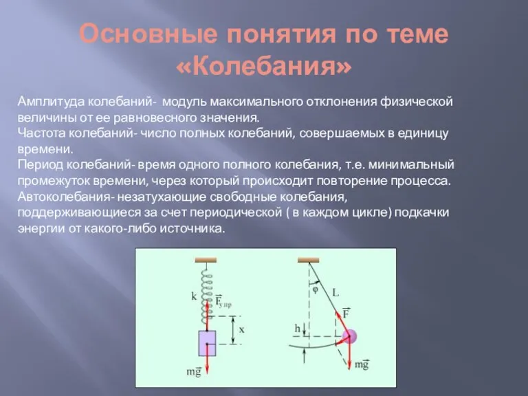 Основные понятия по теме «Колебания» Амплитуда колебаний- модуль максимального отклонения физической величины