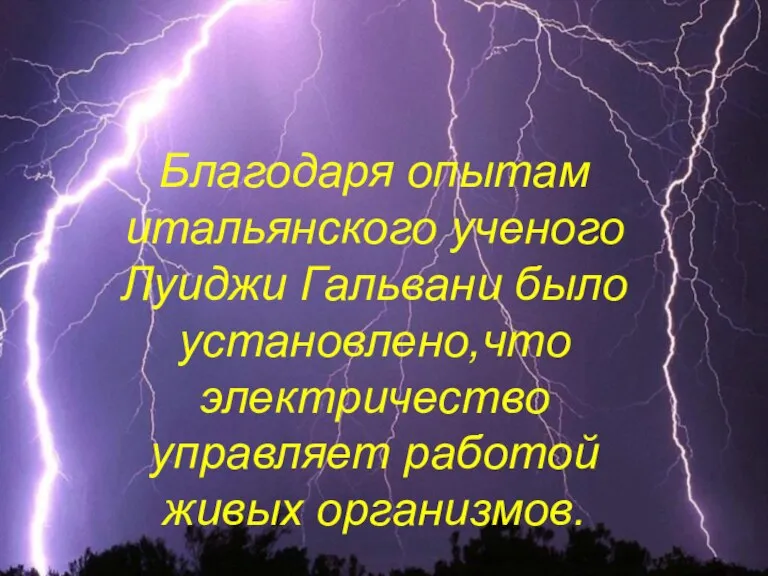 Благодаря опытам итальянского ученого Луиджи Гальвани было установлено,что электричество управляет работой живых организмов.