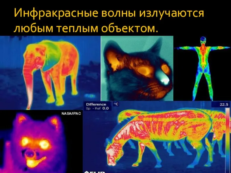 Инфракрасные волны излучаются любым теплым объектом.