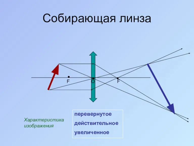 Собирающая линза F F О перевернутое действительное увеличенное Характеристикаизображения