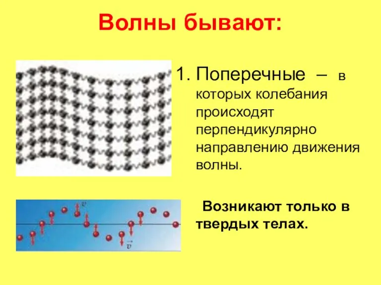 Волны бывают: Поперечные – в которых колебания происходят перпендикулярно направлению движения волны.