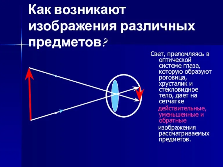 Как возникают изображения различных предметов? Свет, преломляясь в оптической системе глаза, которую