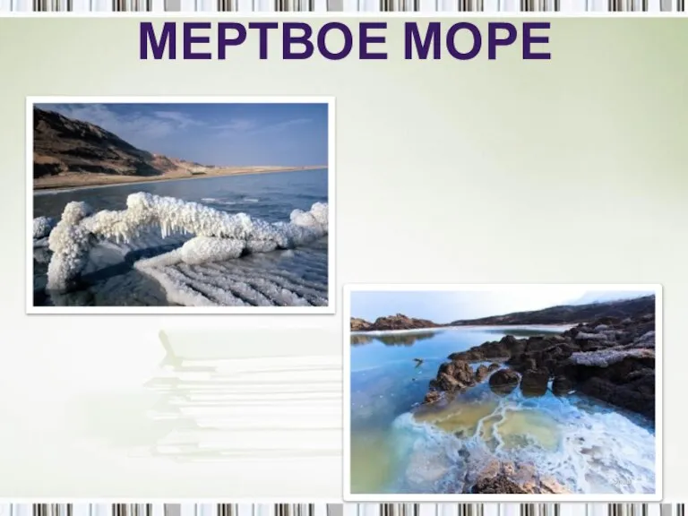 МЕРТВОЕ МОРЕ