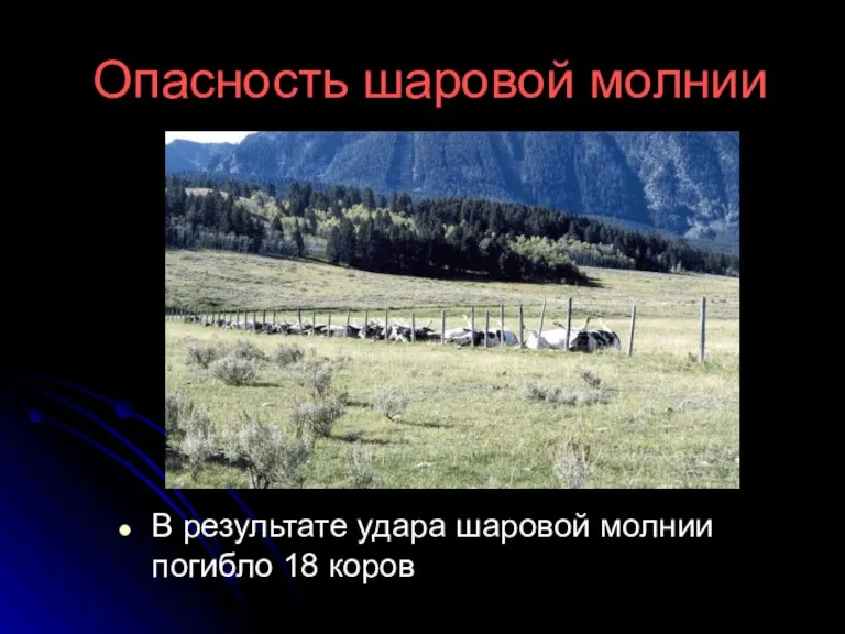 Опасность шаровой молнии В результате удара шаровой молнии погибло 18 коров