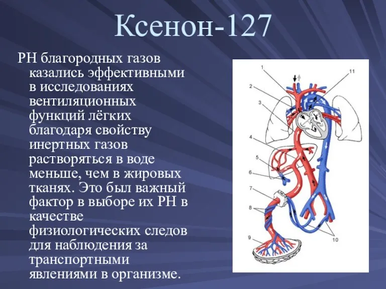 Ксенон-127 РН благородных газов казались эффективными в иссле­дованиях вентиляционных функций лёгких благодаря