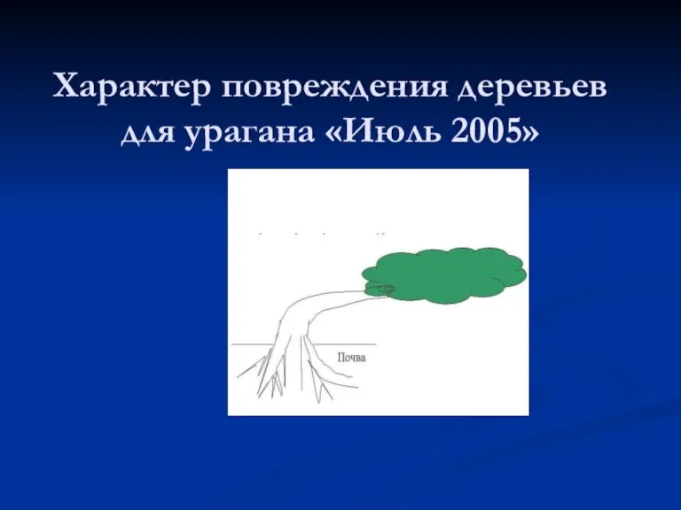 Характер повреждения деревьев для урагана «Июль 2005» имеет вид: