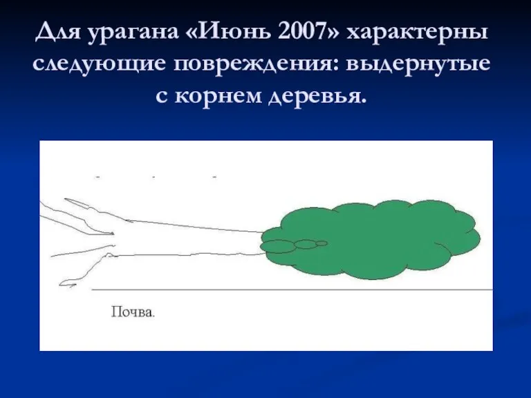 Для урагана «Июнь 2007» характерны следующие повреждения: выдернутые с корнем деревья.