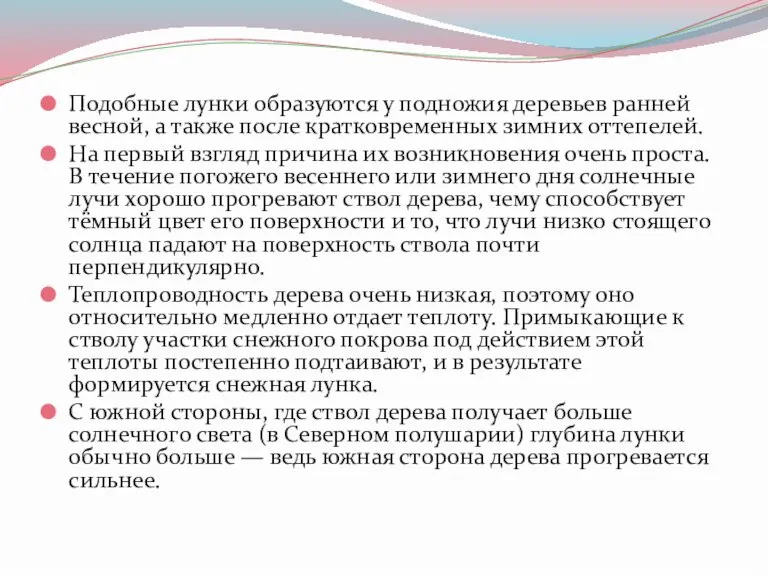 Подобные лунки образуются у подножия деревьев ранней весной, а также после кратковременных