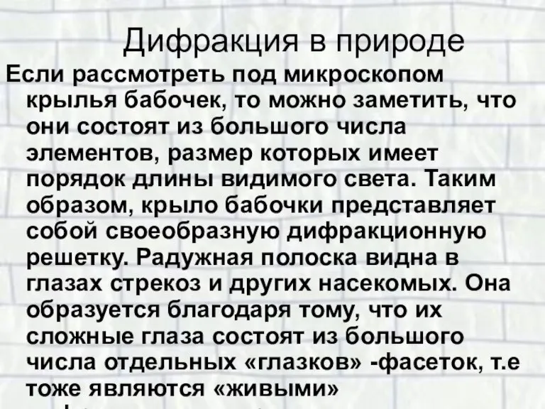 Дифракция в природе Если рассмотреть под микроскопом крылья бабочек, то можно заметить,