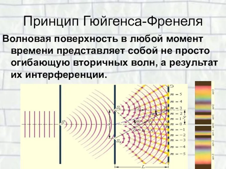 Принцип Гюйгенса-Френеля Волновая поверхность в любой момент времени представляет собой не просто