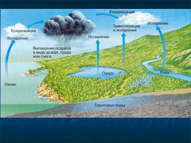 Осреднённая для всего земного шара скорость испарения составляет около 2,5 мм в