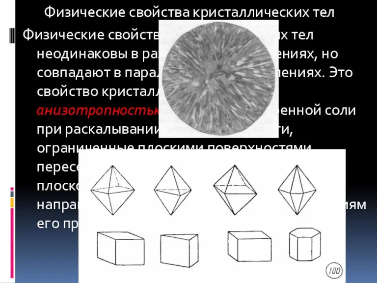 Физические свойства кристаллических тел Физические свойства кристаллических тел неодинаковы в различных направлениях,