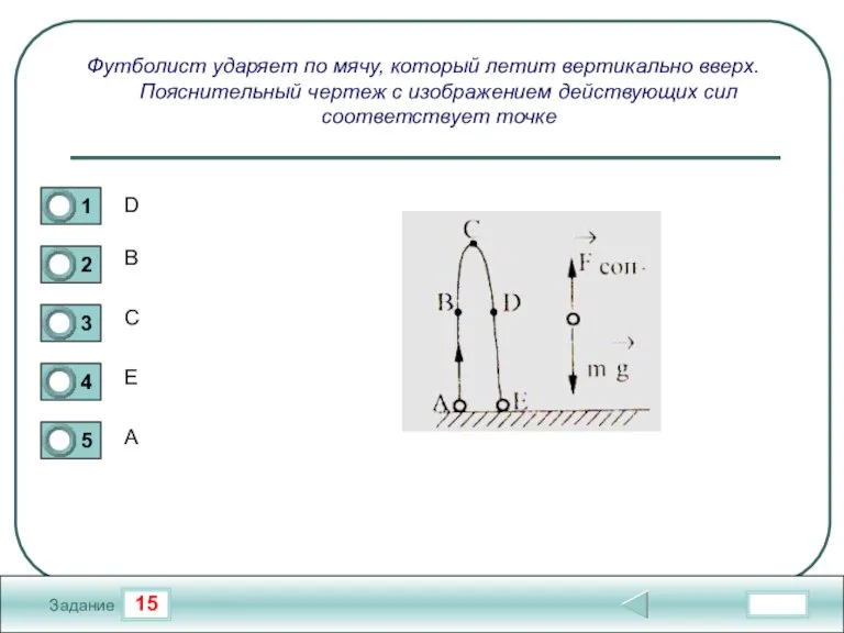 15 Задание Футболист ударяет по мячу, который летит вертикально вверх. Пояснительный чертеж