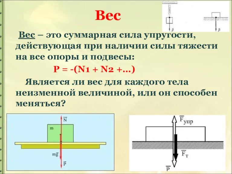 Вес Вес – это суммарная сила упругости, действующая при наличии силы тяжести