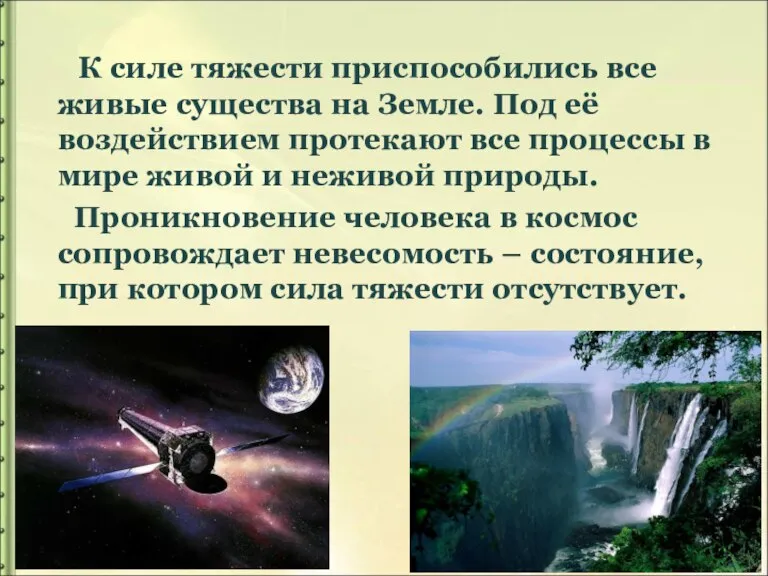 К силе тяжести приспособились все живые существа на Земле. Под её воздействием