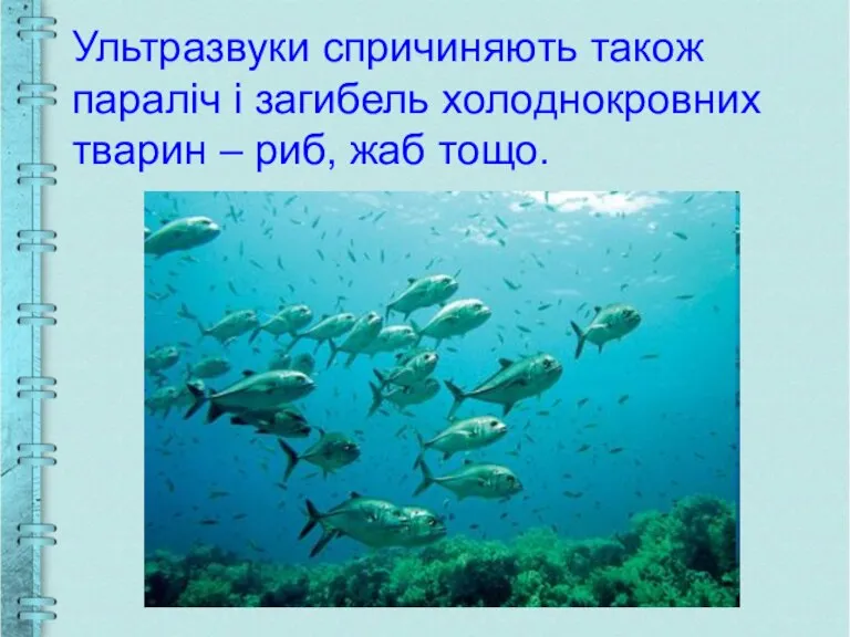 Ультразвуки спричиняють також параліч і загибель холоднокровних тварин – риб, жаб тощо.