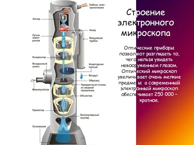 Строение электронного микроскопа Оптические приборы позволяют разглядеть то, чего нельзя увидеть невооруженным