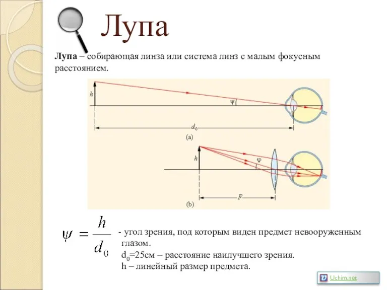 Лупа Лупа – собирающая линза или система линз с малым фокусным расстоянием.