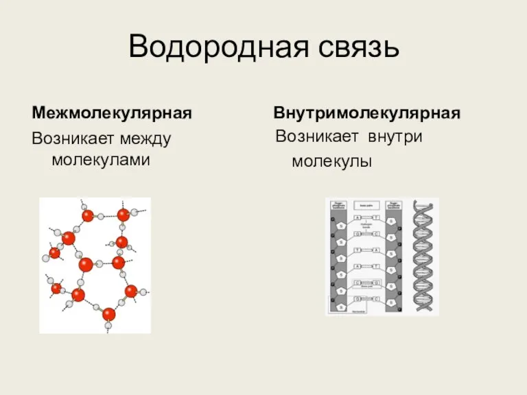 Водородная связь Межмолекулярная Возникает между молекулами Внутримолекулярная Возникает внутри молекулы