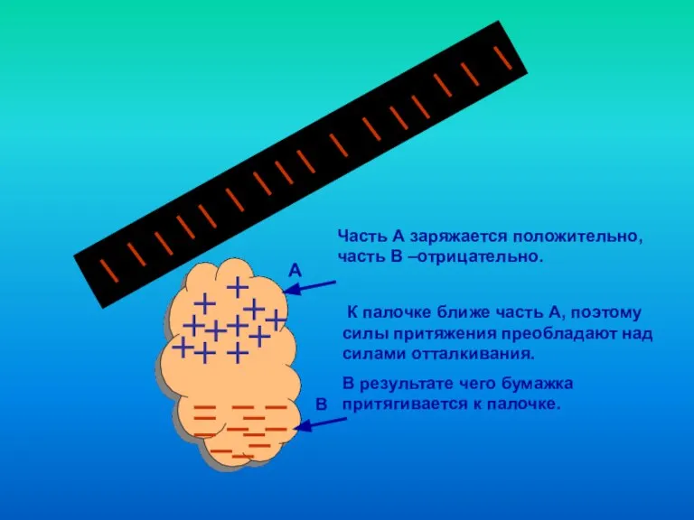 А Часть А заряжается положительно, часть В –отрицательно. К палочке ближе часть