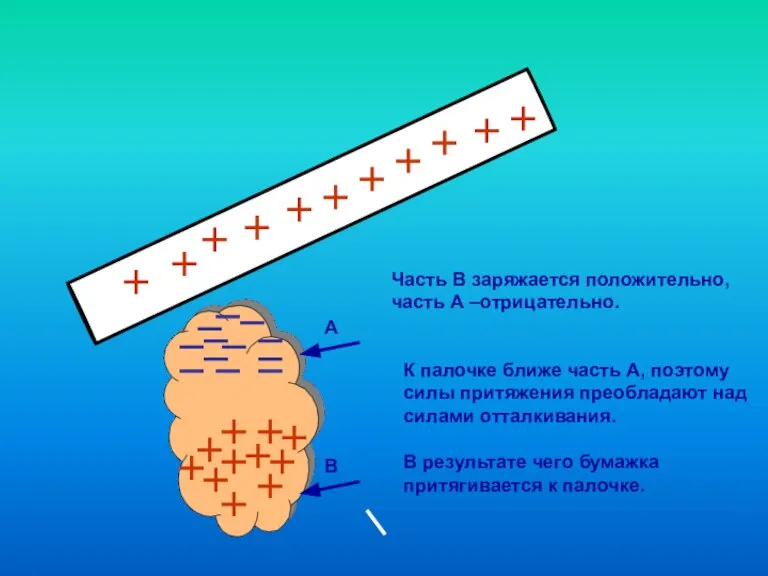 Часть В заряжается положительно, часть А –отрицательно. К палочке ближе часть А,