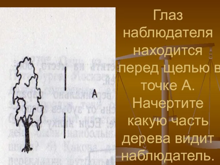 Глаз наблюдателя находится перед щелью в точке А. Начертите какую часть дерева видит наблюдатель.